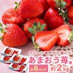フルーツ専門店が選んだ あまおう苺 春8パック