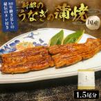 のし対応可能 新都のうなぎの炭火蒲焼1.5尾分