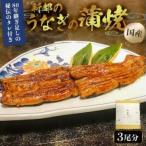 のし対応可能 新都のうなぎの炭火蒲焼3尾分