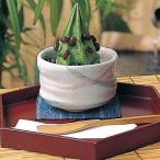 寿ゞき園茶店 抹茶ソフト 抹茶 バニラミックス各4