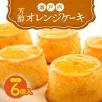 瀬戸内芳醇オレンジケーキ 小丸 6個入り
