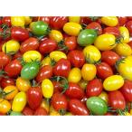 fu.... налог шар название город sa The ki сельское хозяйство .. слива type мини помидоры .. варьете - комплект 3kg