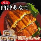 対馬 西沖あなご 3パック