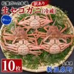 松葉ガニの本場 生セコガニ 冷蔵 中サイズ 10枚