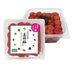 しそ漬け梅 塩分約18% 800g