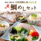 愛媛八幡浜産 天然真鯛を食べつくす 鯛めしセット