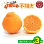 あまい柑橘 不知火 3kg
