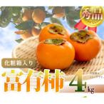 和歌山秋の味覚 富有柿 約4kg