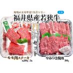 若狭牛ステーキ モモ肉 約200g×3枚&やみつき焼肉300gセット