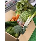 地元新鮮野菜セット 8品