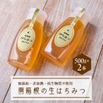 南箱根の生はちみつ 500g×2本