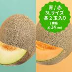 ショッピングふるさと納税 肉 ふるさと納税 旭市 【2026年先行予約】飯岡メロン　青肉&赤肉　食べ比べ!3Lサイズ(約1.35kg)×各2玉セット