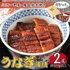 うなぎ蒲焼 2尾セット