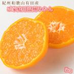 紀州有田産濃厚完熟温州みかん 約5kg