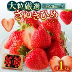 ふるさと納税 高松市 大粒厳選(1粒20g以上)!さぬきひめいちご 約1kg