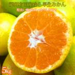 紀州和歌山産 せとか 約5kg
