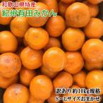 和歌山 有田みかん 10kg