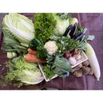 よしのがり野菜セット 16品