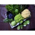 イタリア野菜セット 7品