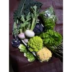 イタリア野菜セット 10品