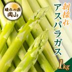fu.... налог прекрасный произведение город Okayama префектура производство утро .. спаржа 1 kilo 