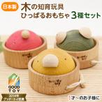 引っぱるとクルクル回る 3個セット くり返しあそびの木のお…