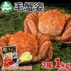 ふるさと納税 弟子屈町 【のし付】毛蟹 姿 2尾 計1kg前後 ボイル 蟹ハサミ・ガイド付 北海道 弟子屈町 2987