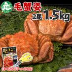 毛蟹 姿 2尾