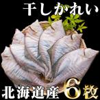 干しかれい 大 一夜干し 2尾×3セット