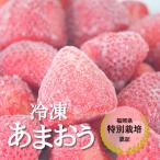 ショッピングふるさと納税 いちご ふるさと納税 太宰府市 うるう農園の冷凍あまおう2kg