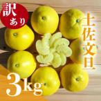 土佐文旦 訳あり 3kg