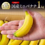 ミニバナナ1kg
