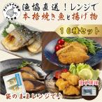 漁協直送 忙しいあなたに 袋のままレンジで本格焼き魚と揚…
