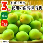 ふるさと納税 有田川町 青梅 南高梅 約3kg 秀品 LまたはMサイズ 和歌山県産 A品 梅酒作り用 梅ジュース作り用