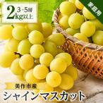 ショッピングふるさと納税 シャインマスカット ふるさと納税 美作市 2026年先行受付【家庭用】美作市産シャインマスカット　2kg以上(3〜5房)