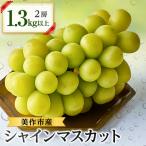 朝採りシャインマスカット 1.3kg_果物
