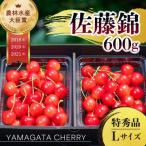 ふるさと納税 寒河江市 2026年産 さくらんぼ 「 佐藤錦 」 600g 特秀品 L以上 (300g×2) 山形県産