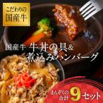 牛 牛丼の具&amp;煮込みハンバーグ