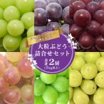 ふるさと納税 寒河江市 シャインマスカット・品種おまかせぶどう詰合せセット 2房(計1kg以上)