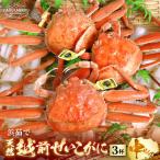 当日茹でたて発送 はるか丸が厳選 越前 カニスプーン付き