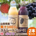 ふるさと納税 山梨市 【2026年発送】山梨産桃・ぶどうのストレートジュース セット 各1000ml 無濃縮 100%