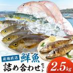 御坊産 鮮魚セット 約2.5kg