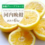 苦味の少ない和製グレープフルーツ 河内晩柑6kg