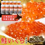いくら醤油漬 80g×10瓶セット