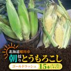 朝採りとうもろこしゴールドラッシュL~2L×15本_01707