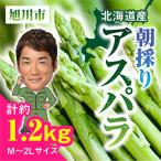 fu.... налог Asahikawa город утро ..aspala(M~2L размер ) примерно 1.2kg_01705