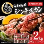 北の大手門 やわらかジンギスカン 200g×10パック