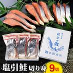 ふるさと納税 村上市 塩引鮭切り身9切 A4021