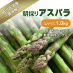 fu.... налог Asahikawa город Asahikawa окраина производство зеленый aspala1kg L размер _01590