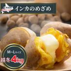 ふるさと納税 旭川市 【先行受付】2026年1月より発送 越冬品 インカのめざめ 4kg 北海道産のじゃがいも_01985